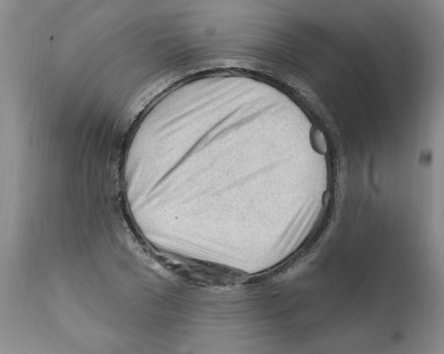 X0000111670977200908281107