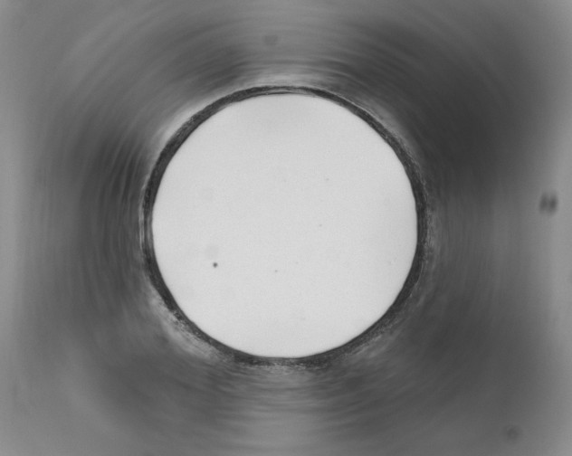 X0000111670980200908281107