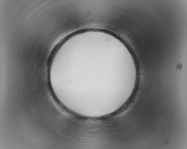 X0000111670981200908281107