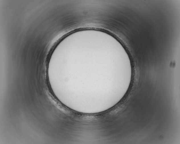 X0000111670982200908281107