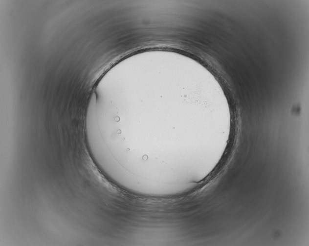 X0000111670985200908281107