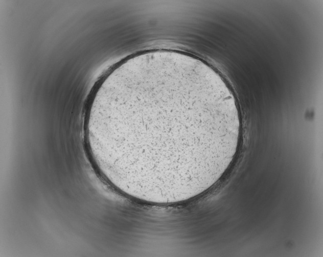 X0000111670987200908281107