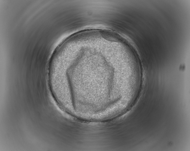 X0000111670989200908281107