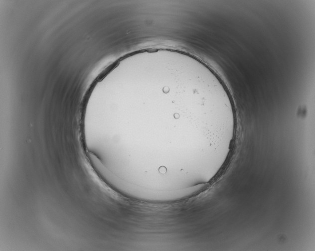 X0000111670997200908281106