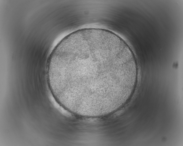 X0000111670998200908281106