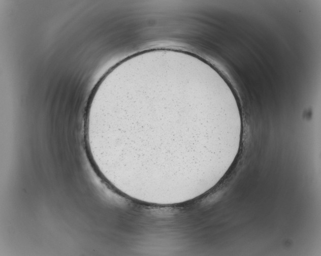 X0000111670999200908281106