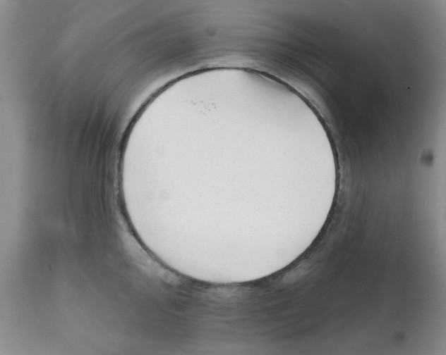 X0000111671000200908281106