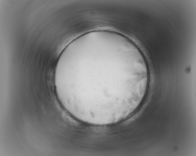 X0000111671001200908281106