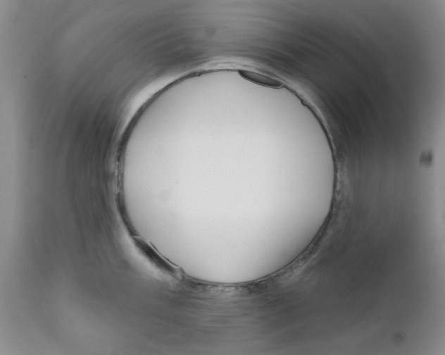 X0000111671003200908281106