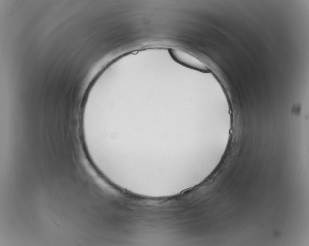 X0000111671005200908281106