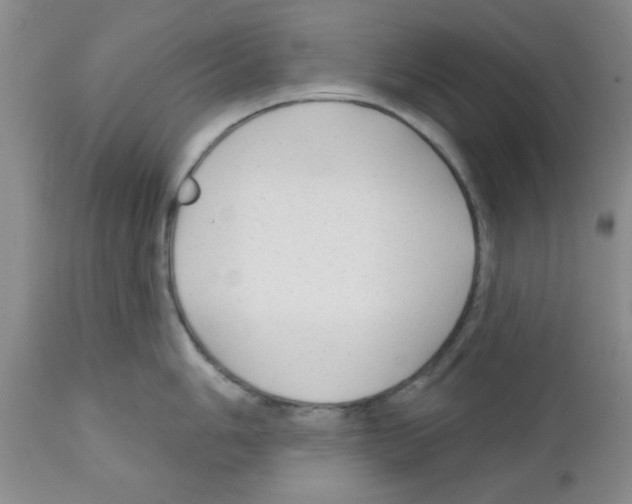 X0000111671006200908281106