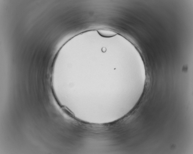 X0000111671007200908281106