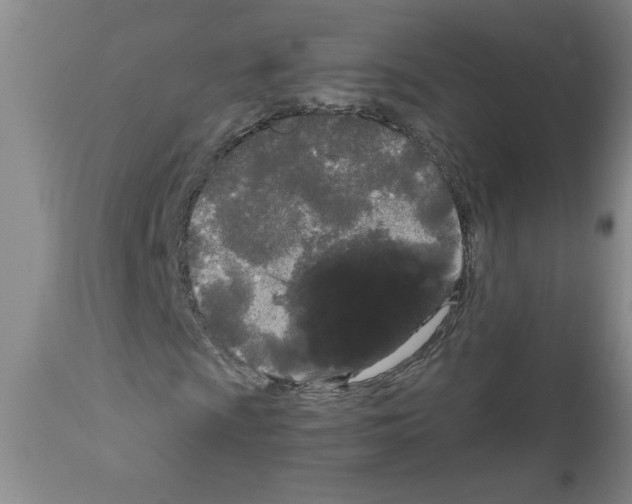 X0000111671009200908281105