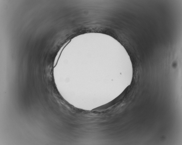 X0000111671010200908281105