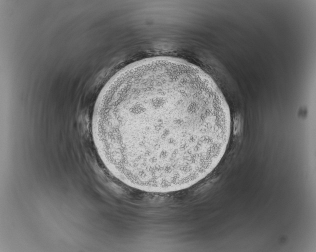 X0000111671011200908281105