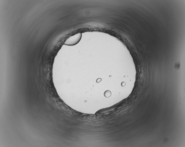 X0000111671016200908281106