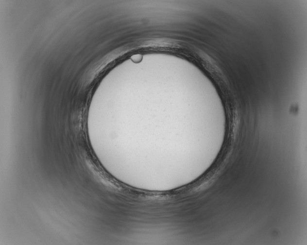 X0000111671017200908281106