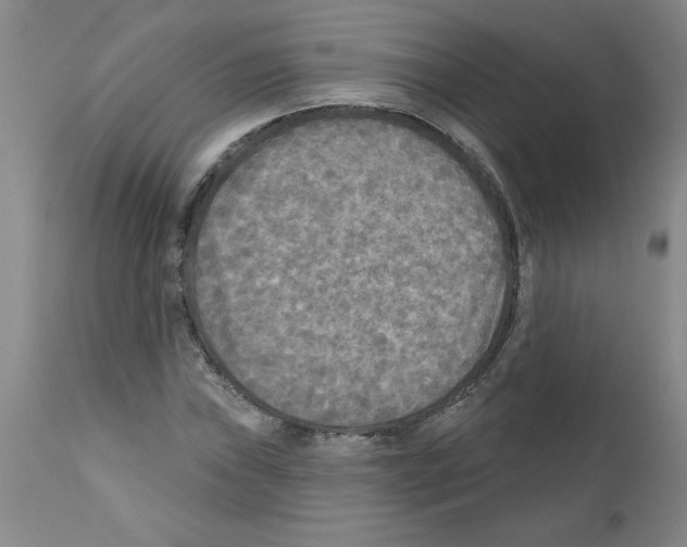 X0000111671019200908281106