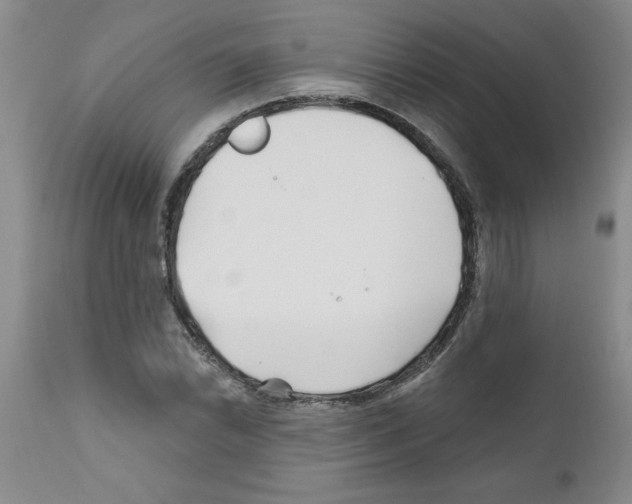 X0000111671022200908281106