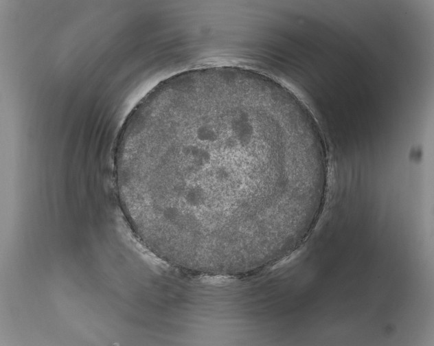 X0000111671023200908281106