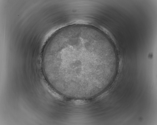 X0000111671027200908281106