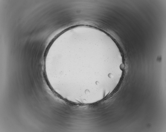 X0000111671028200908281106