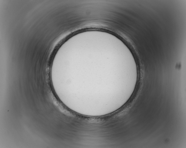 X0000111671029200908281106