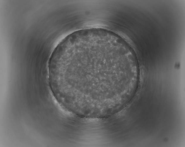 X0000111671031200908281106