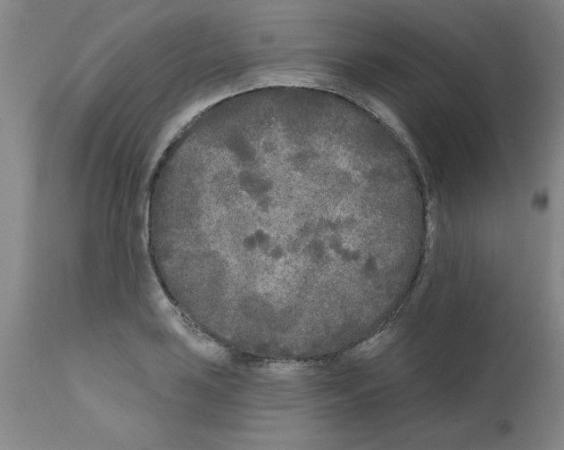 X0000111671035200908281106