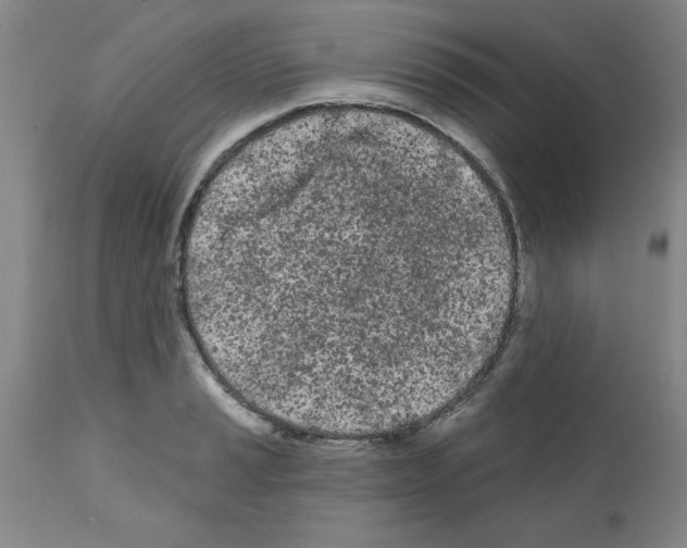 X0000111671037200908281106