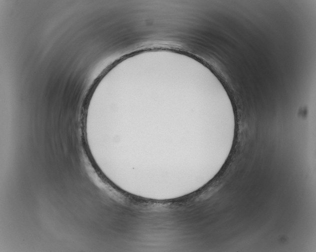 X0000111671038200908281106