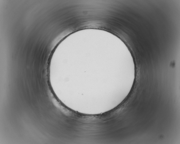 X0000111671042200908281106