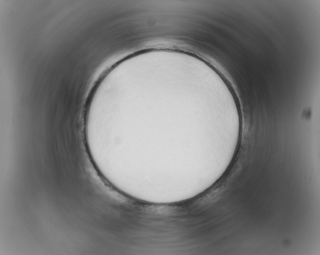 X0000111671045200908281106