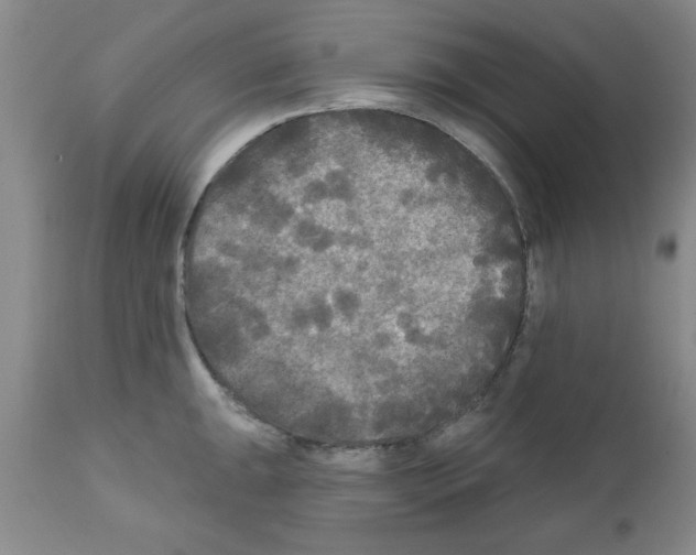 X0000111671047200908281106