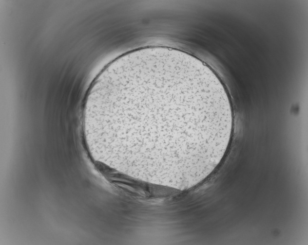 X0000111671048200908281106