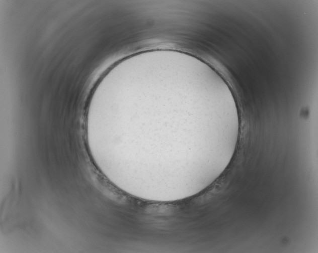 X0000111671051200908281106