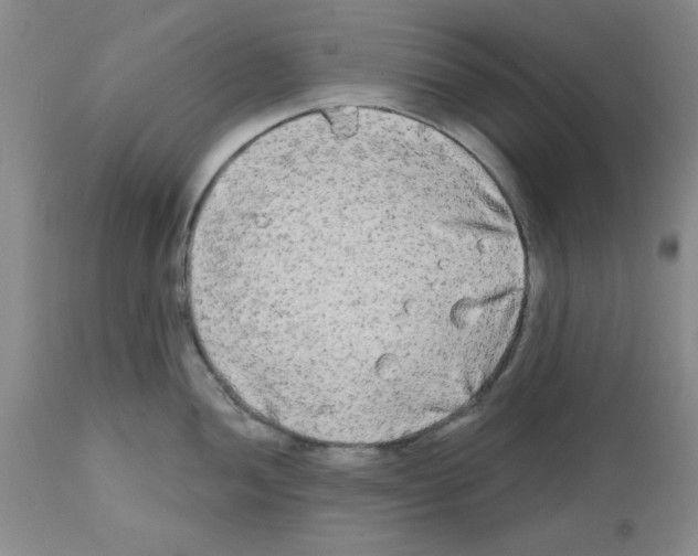 X0000111671052200908281106