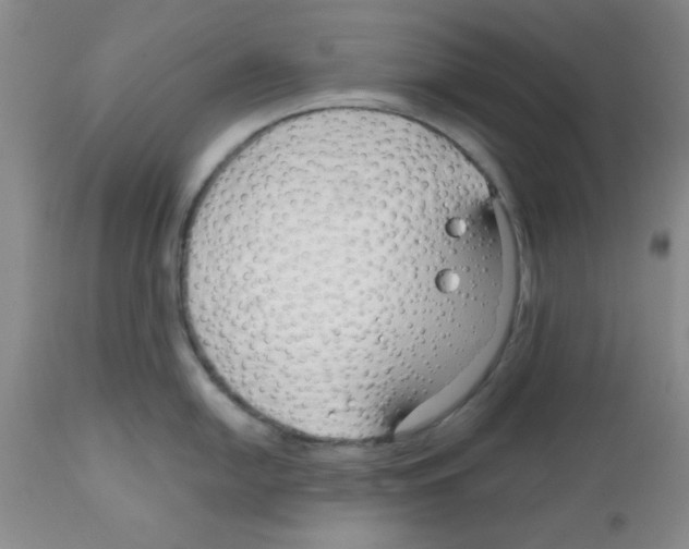 X0000111671054200908281106