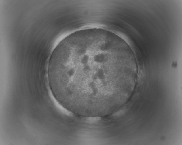 X0000111671055200908281106