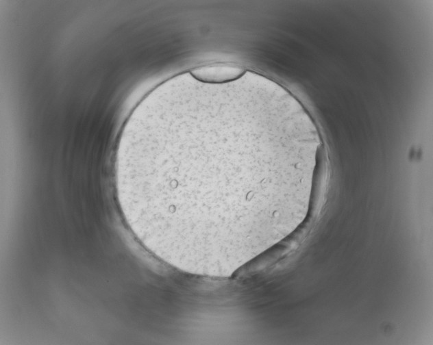 X0000111671056200908281106