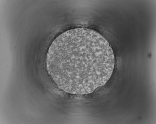 X0000111671057200908281105