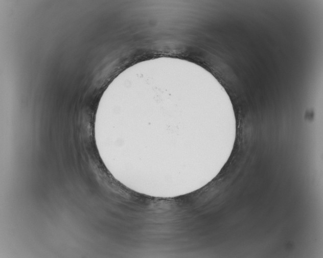 X0000111671058200908281105