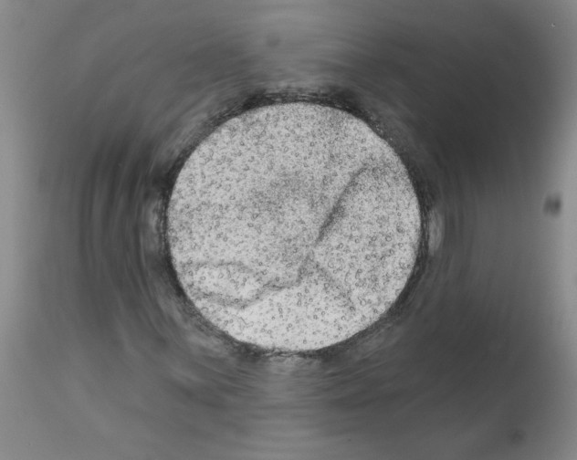 X0000111671059200908281105