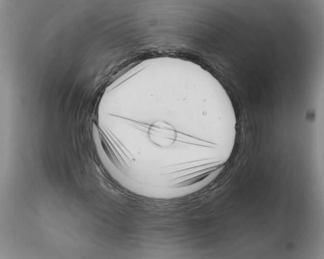 X0000111671060200908281105