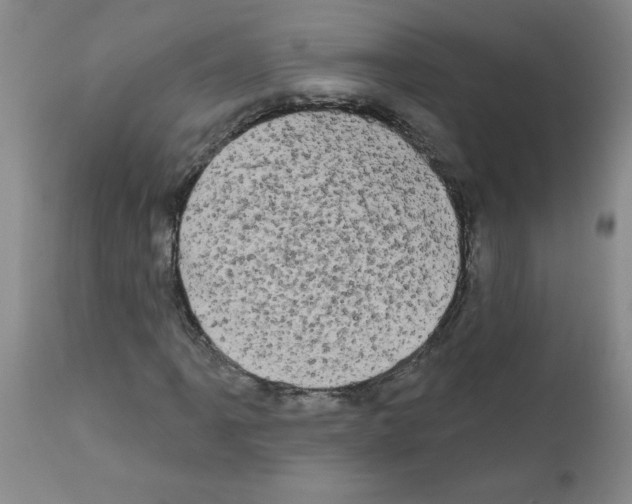 X0000111671061200908281105