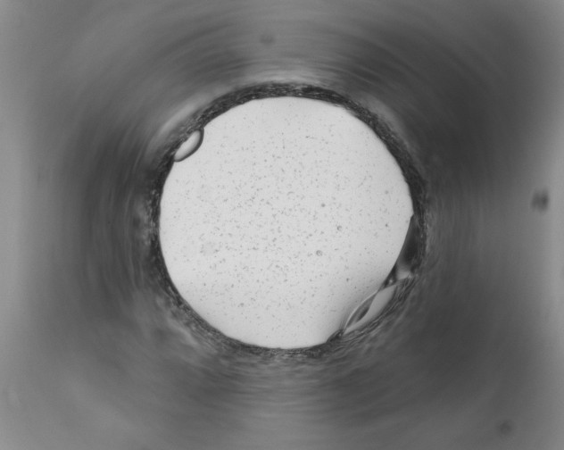 X0000111671064200908281105