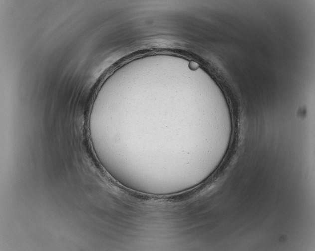 X0000111671065200908281105