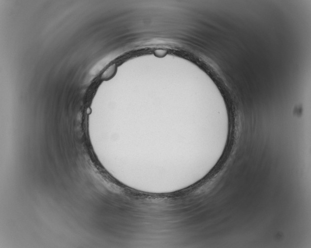 X0000111671066200908281105