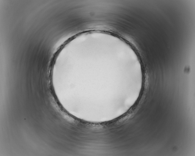 X0000111671071200908281105