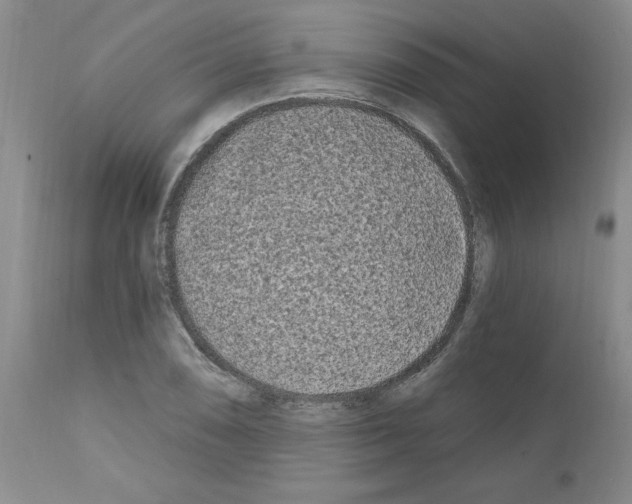 X0000111671074200908281105